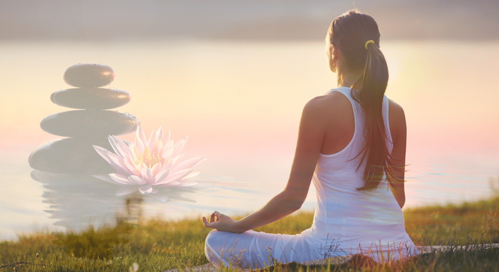 Health and Wellness Niche Blog