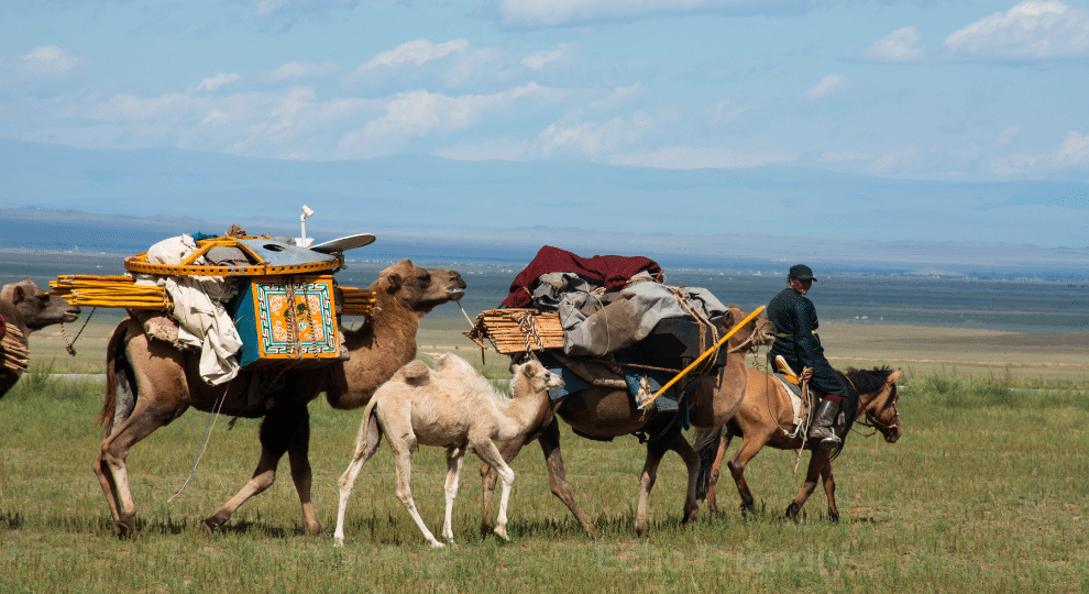 Nomad Travel Niche Blogging